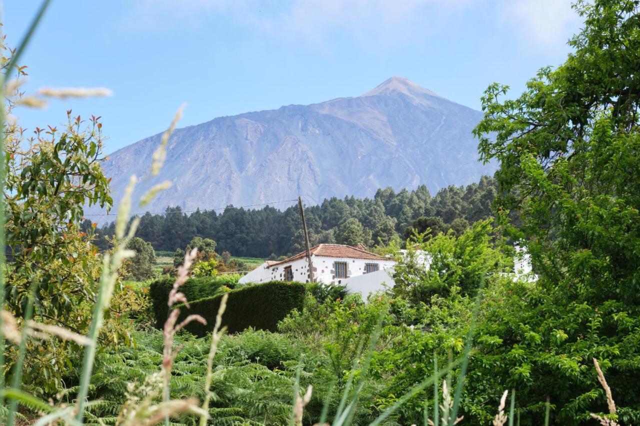 Casa Rural Felipe Luis San Juan de la Rambla Zewnętrze zdjęcie
